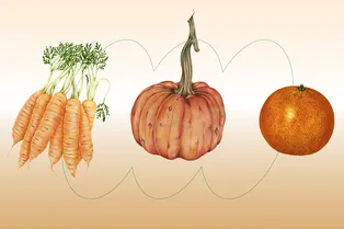 Как питаться осенью, чтобы не набрать вес?