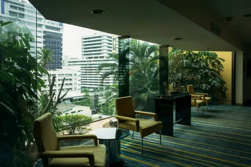 Чем больше, тем лучше? Какое количество растений в офисе вредит самочувствию