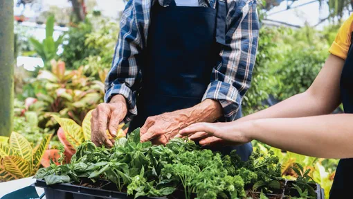 лунный календарь садовода на март 2026