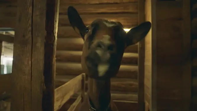 Нажми и смотри