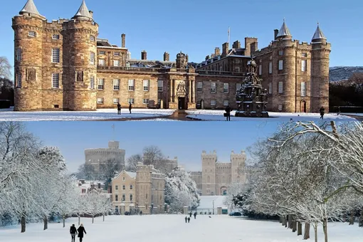 Ели высотой до 6 метров и 3000 лампочек: как выглядит рождественский декор резиденций Карла III