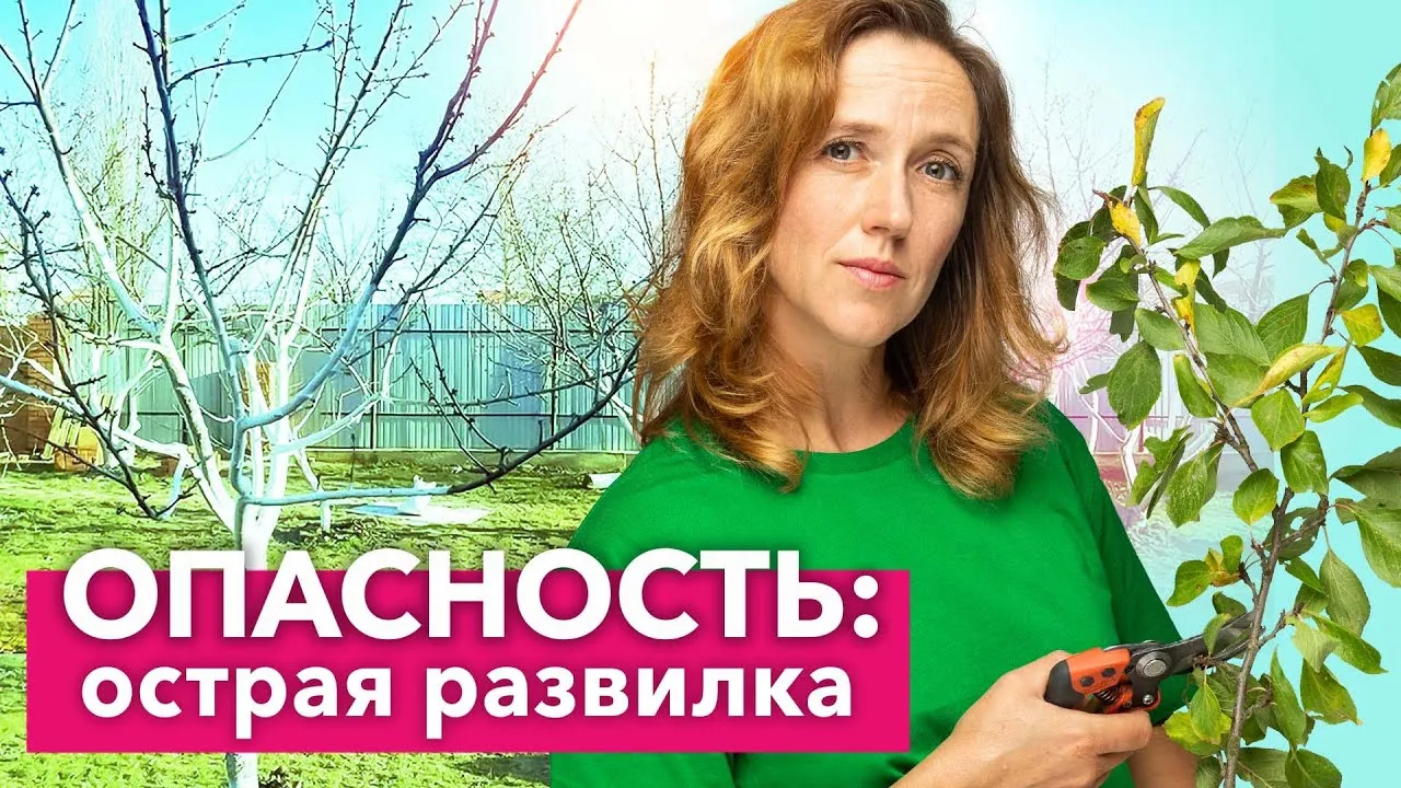 Нажми и смотри