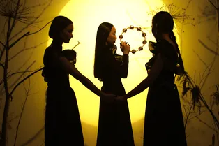 22-летнюю салемскую ведьму реабилитировали благодаря школьникам из США