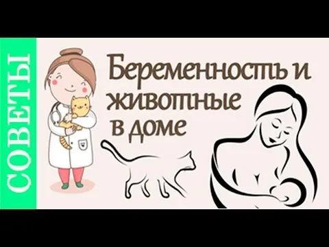 Нажми и смотри