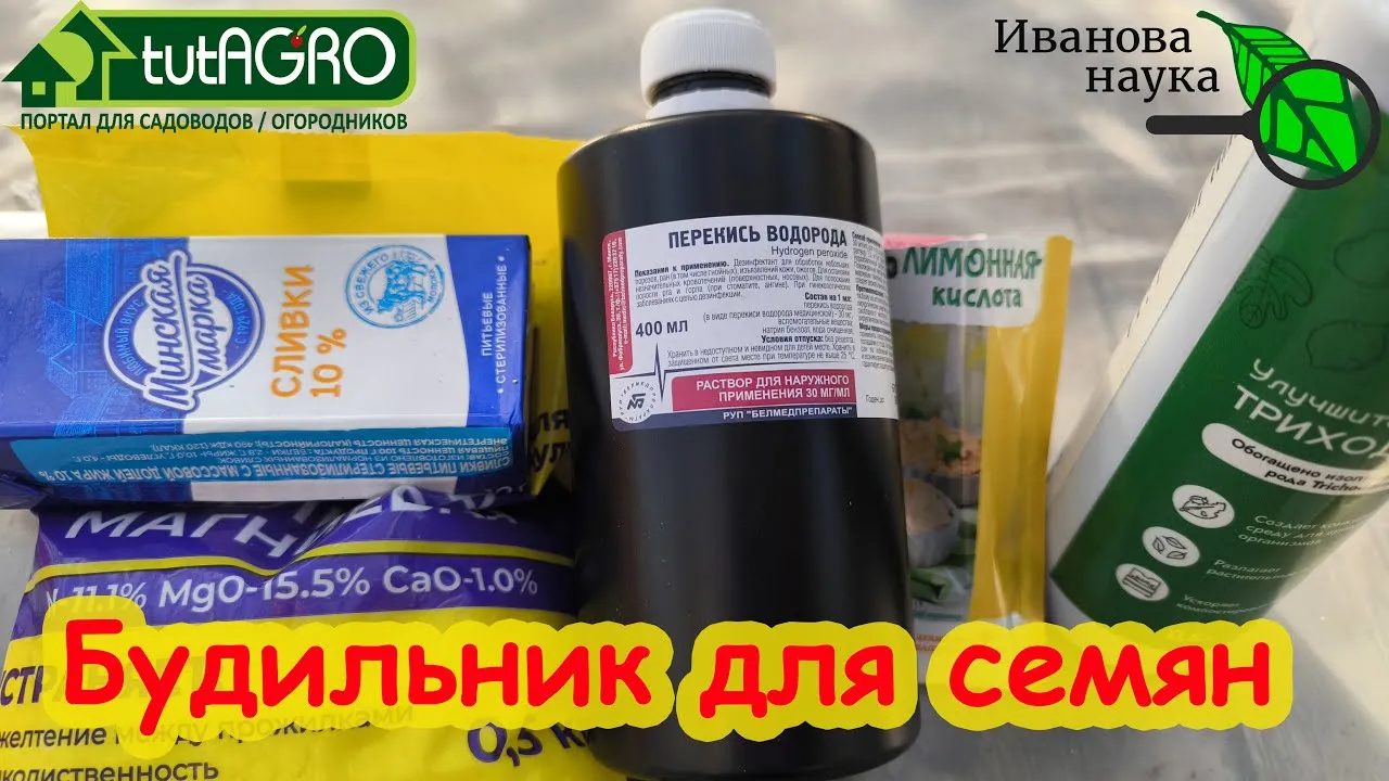 Нажми и смотри Нажми и смотри