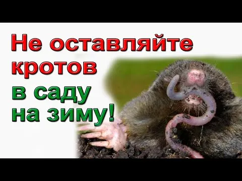 Нажми и смотри