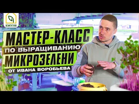Нажми и смотри