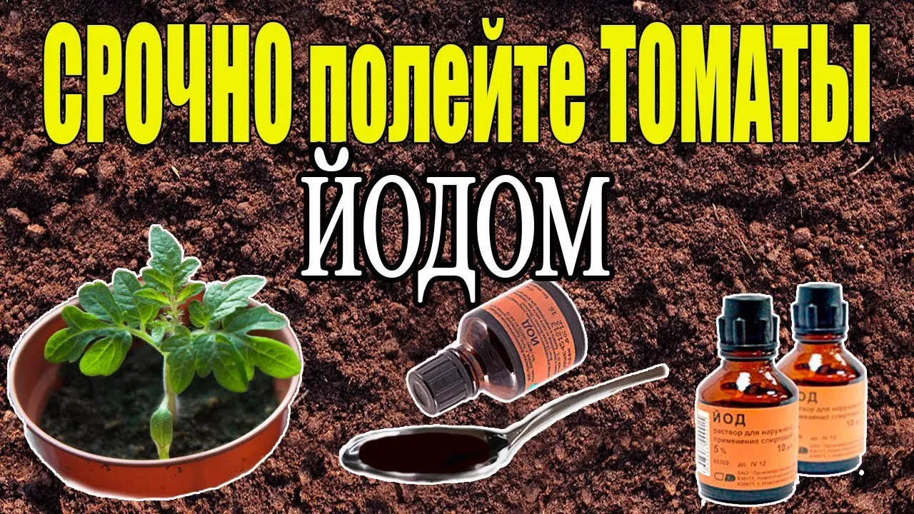Нажми и смотри