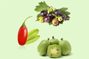 Сможете назвать хотя бы половину этих фруктов и ягод? Если угадаете все — мы сильно удивимся! Сможете назвать хотя бы половину этих фруктов и ягод? Если угадаете все — мы сильно удивимся!