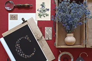 О, гербарий! Мастер-класс для ценителей ботанического декора