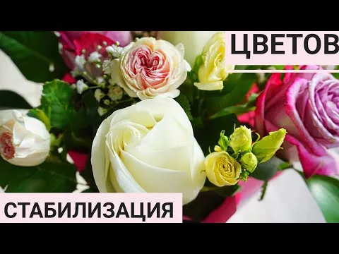 Нажми и смотри