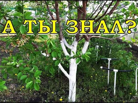 Нажми и смотри