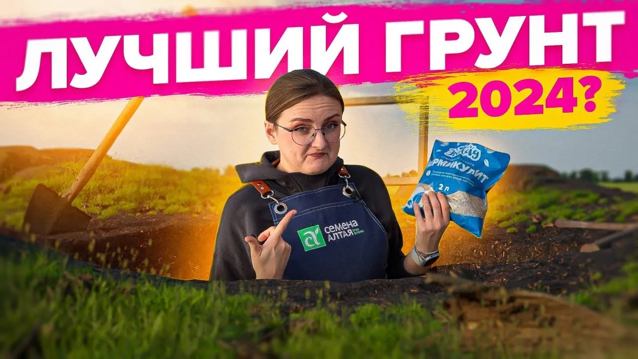 Нажми и смотри