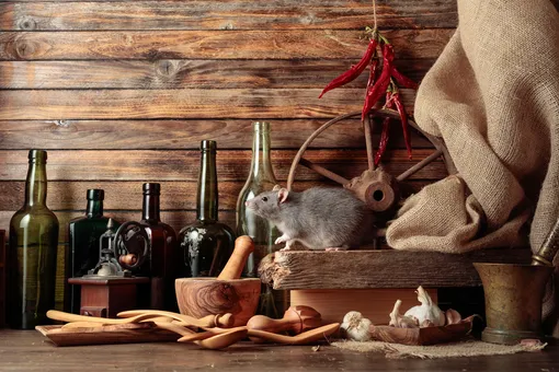 Избегайте накопительства Избегайте накопительства