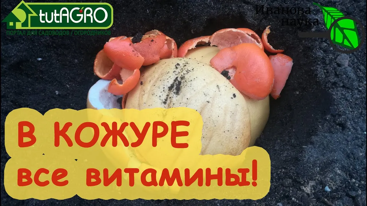 Нажми и смотри Нажми и смотри