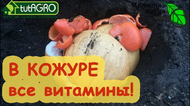 Нажми и смотри Нажми и смотри