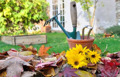 Садовые работы в октябре