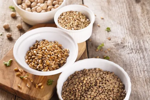 Проростки – еда будущего? Проростки – еда будущего?