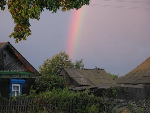 Лунный посевной календарь садовода и огородника на неделю с 15 по 21 июля 2024 года