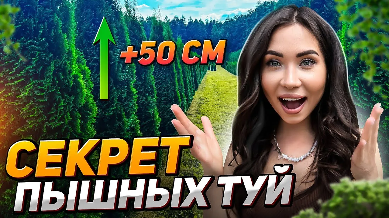 Нажми и смотри Нажми и смотри
