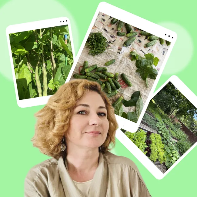 Дневник дачницы: какой урожай собрала и окупились ли расходы на огород в этом году?