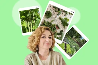 Дневник дачницы: какой урожай собрала и окупились ли расходы на огород в этом году? Дневник дачницы: какой урожай собрала и окупились ли расходы на огород в этом году?