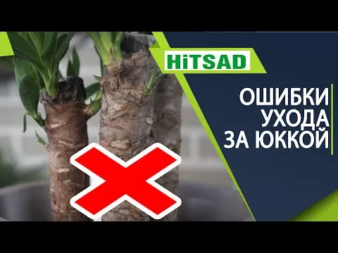 Нажми и смотри