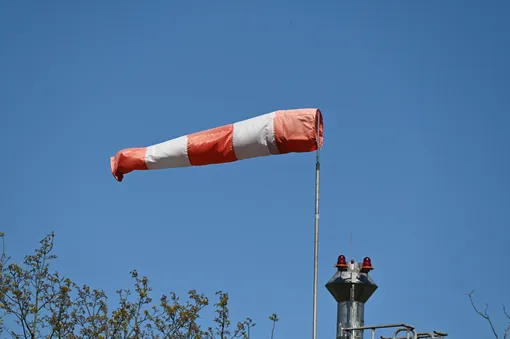Погода в Москве на день