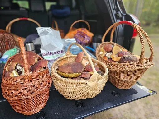 «Добыча» семьи Валуевых