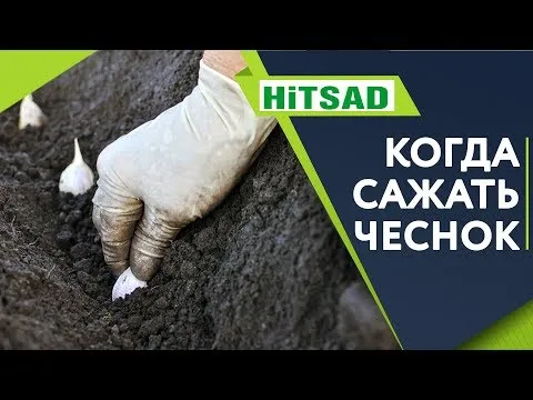 Нажми и смотри