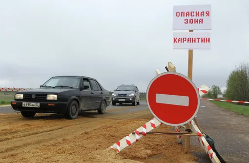 Чума от А до Я: где её нашли и как не заразиться