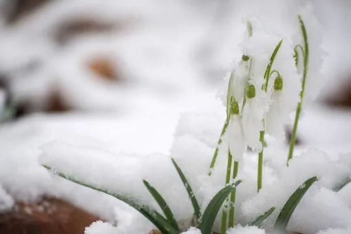 Весеннее равноденствие 2025: точная дата и время, что можно и нельзя делать в этот день Весеннее равноденствие 2025: точная дата и время, что можно и нельзя делать в этот день