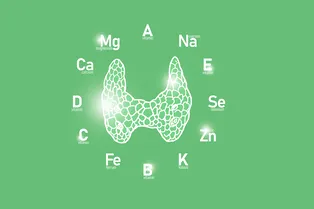 Еда для щитовидки: список самых полезных и вредных продуктов