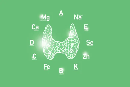 Еда для щитовидки: список самых полезных и вредных продуктов Еда для щитовидки: список самых полезных и вредных продуктов