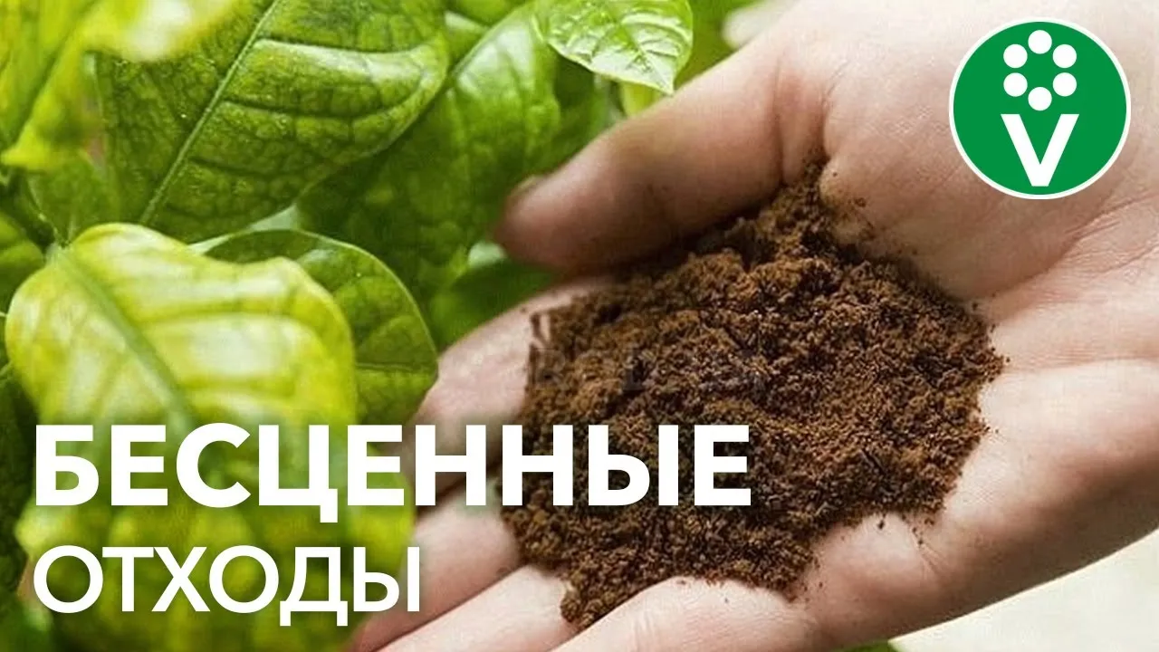 Нажми и смотри