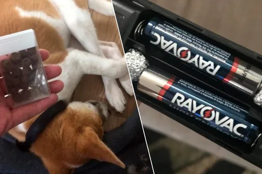 5 лучших лайфхаков этой недели!