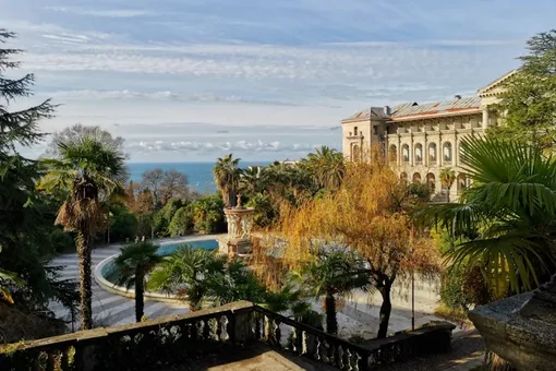 Отказали почки: сочинская чача убила две семьи