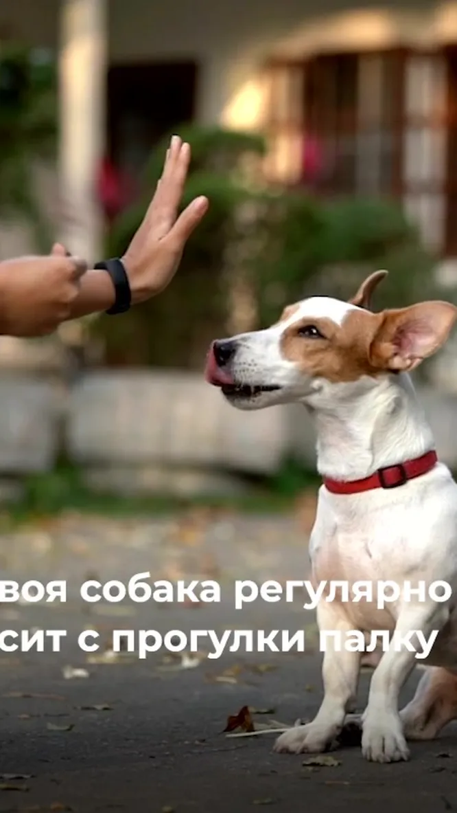 Нажми и смотри