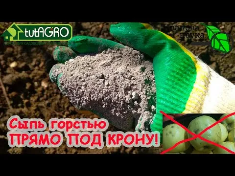 Нажми и смотри