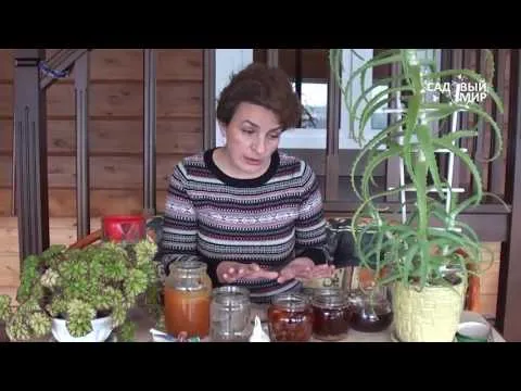 Нажми и смотри