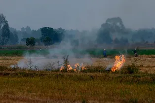 В ряде регионов России объявили высокий уровень пожароопасности В ряде регионов России объявили высокий уровень пожароопасности