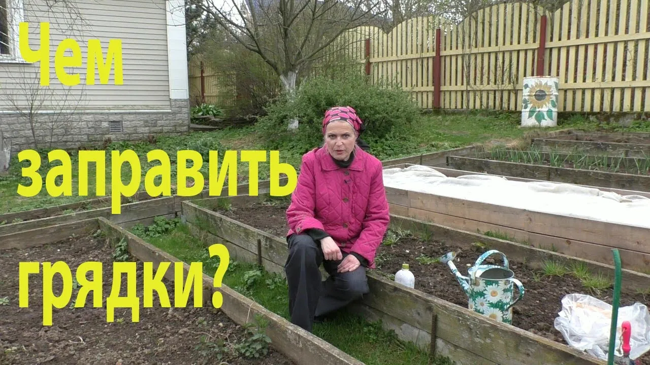 Нажми и смотри Нажми и смотри
