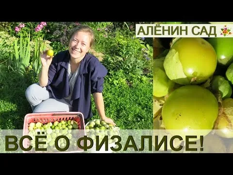 Нажми и смотри