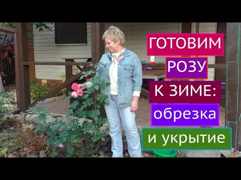 Нажми и смотри