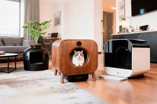 8 стильных способов скрыть кошачий лоток в прихожей и ванной