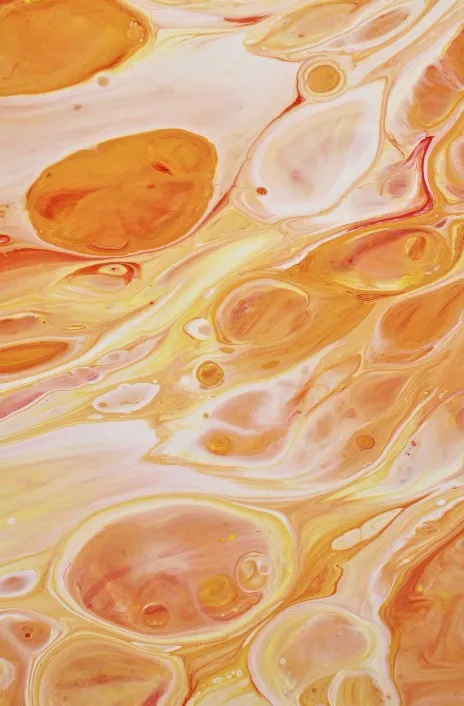 Мармелад может храниться в морозилке полгода Мармелад может храниться в морозилке полгода