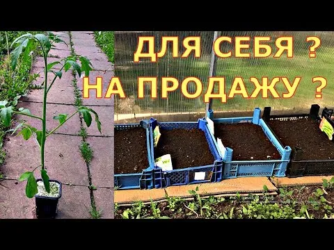 Нажми и смотри
