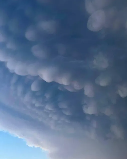 Мамматусы над Москвой