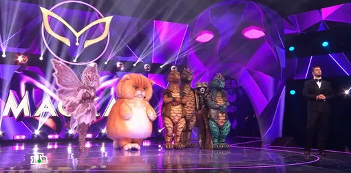 Финалисты пятого сезона шоу «Маска» Шоу «Маска»