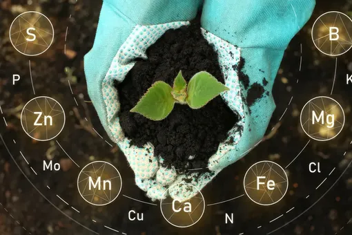 Забудьте о внесении удобрений «на глаз». Эти 7 правил — то, чему следуют профессиональные садоводы